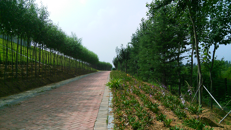 济南市第三生活垃圾无害化处理厂填埋场景观绿化工程第一标